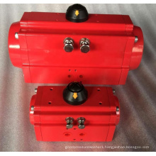 Double Action Pneumatic cylinder/actuator/air cylinder